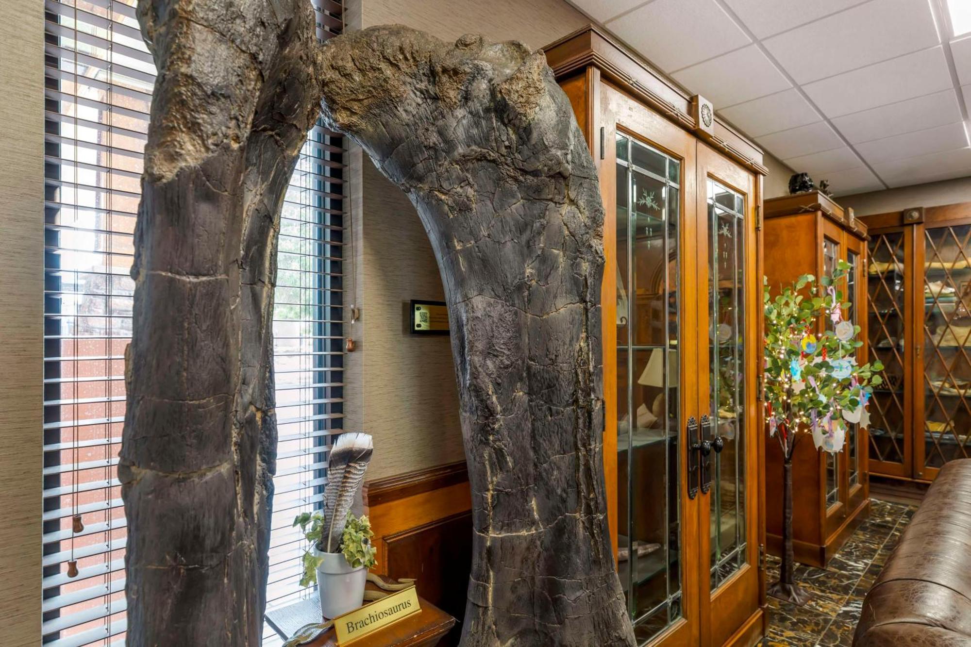 Best Western Denver Southwest Lakewood Exterior photo